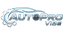 AutoPro Vibe Logo